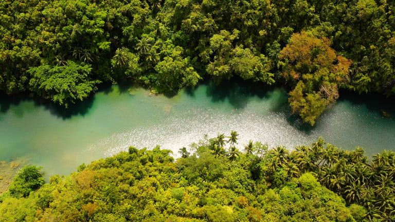 Loboc river in the jungle. Bohol, Philippines.