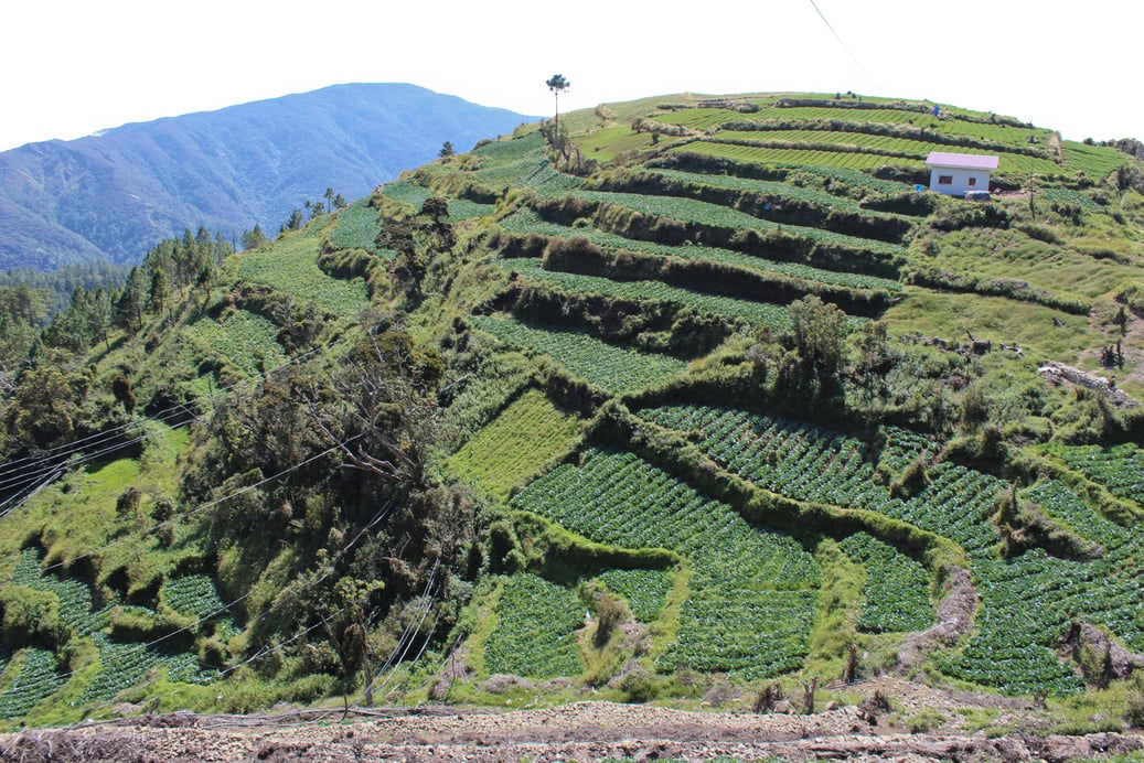 Mountains in Benguet Philippines