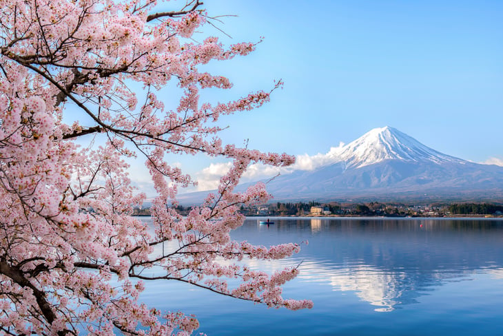 Mount fuji at Lake kawaguchiko with cherry blossom in Yamanashi near Tokyo, Japan.